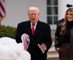 Trump ułaskawił indyki. Ale poprzednie zostaną zjedzone?!