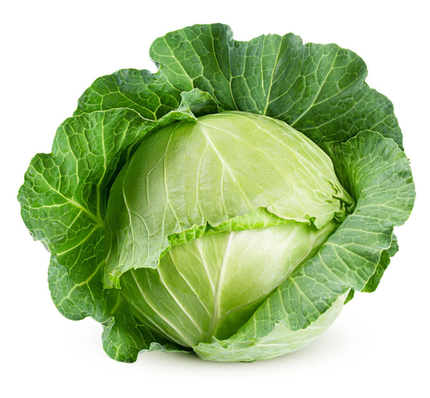 Kapusta