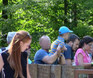Stawianie dzieci na ogrodzeniu wybiegu dla zwierząt jest zabronione i niebezpieczne.