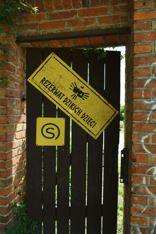 Dzikie dzieci opanowały Lublin [GALERIA]