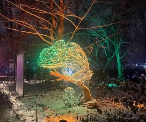 MagicznyBotaniczny 2025/2026 w Warszawie