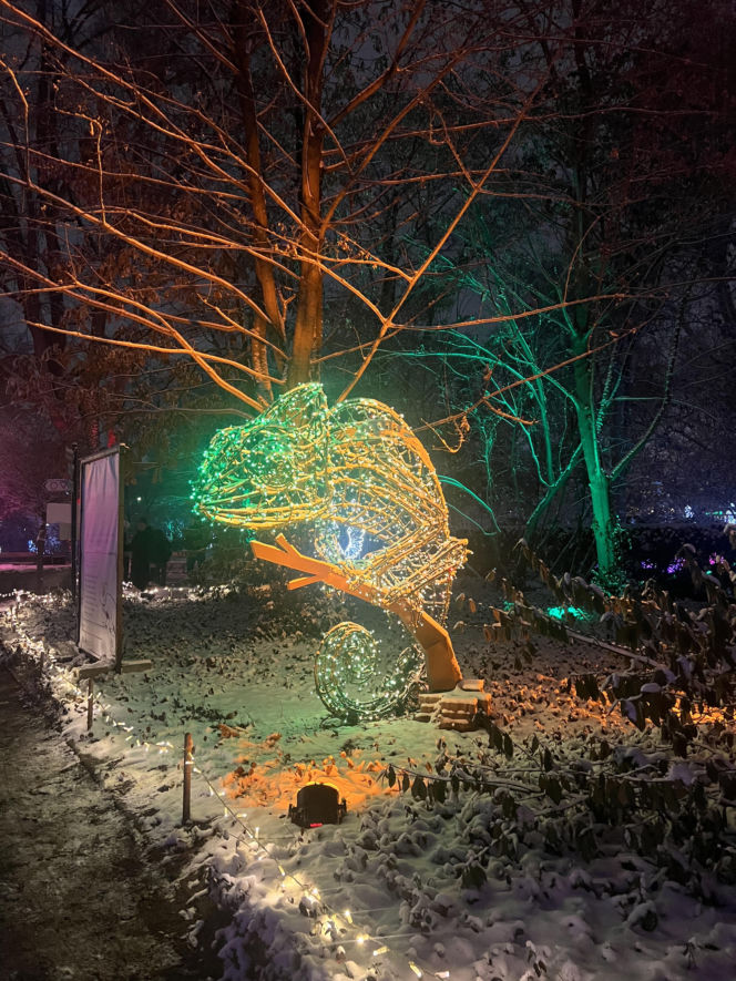 MagicznyBotaniczny 2025/2026 w Warszawie