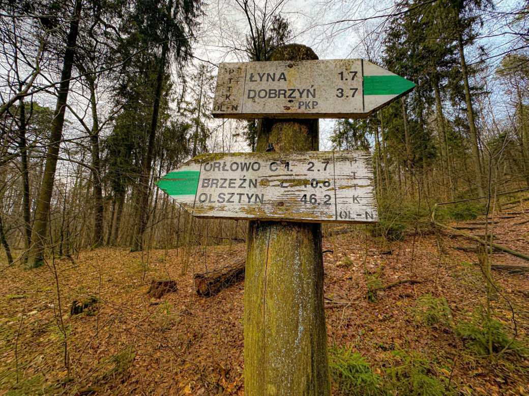 Rzeka Łyna