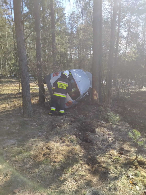 Wypadek na DW 686. Kierowca renault "zaparkował" między drzewami [ZDJĘCIA]