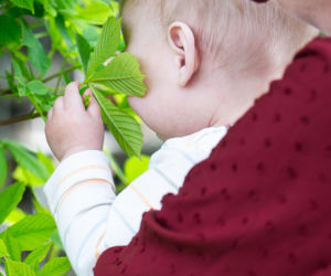 Mały Pawełek pilnie szuka domu. Liczy się każdy dzień