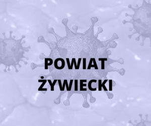 Powiat żywiecki - 248 zakażeń