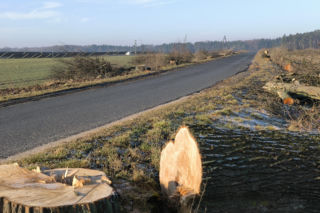 Ponad 300 drzew wyciętych. Niebawem ruszy rozbudowa drogi Lipno – Goniembice za 25 milionów złotych