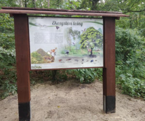 Ścieżka edukacyjna nad jez. Głębokim