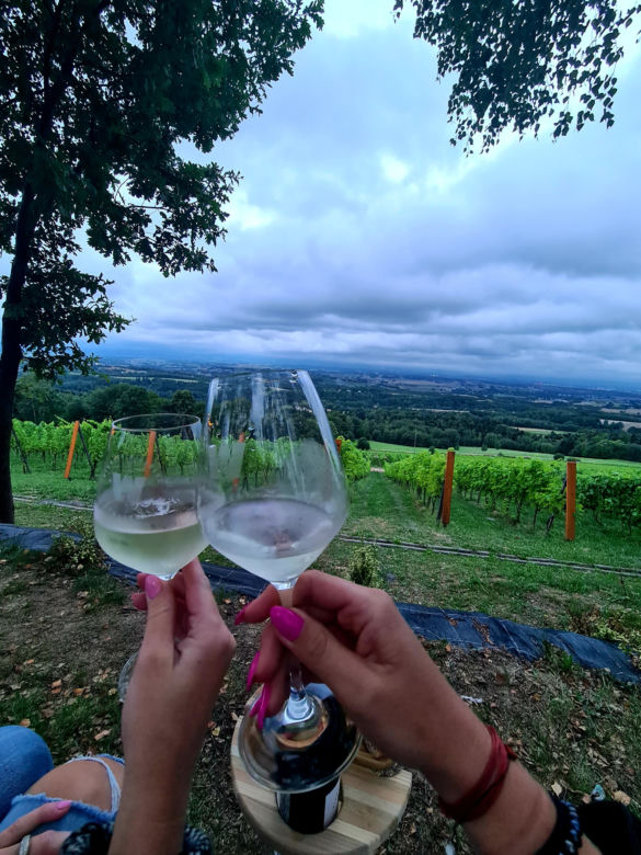 Wino pod gwiazdami w Komborni [GALERIA]