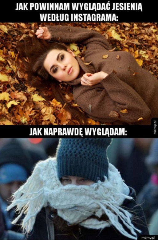 Równonoc jesienna 2020. Zobacz najlepsze memy na pierwszy dzień jesieni