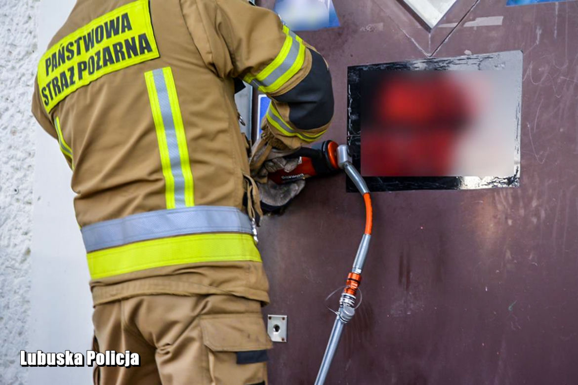 Lubuskie: NIELEGALNE automaty do gry. Zlikwidowali dwa „KASYNA” [ZDJĘCIA]