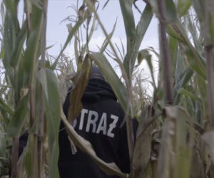 86-latka zgubiła się w polu kukurydzy 