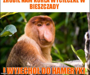 Memy o Bieszczadach