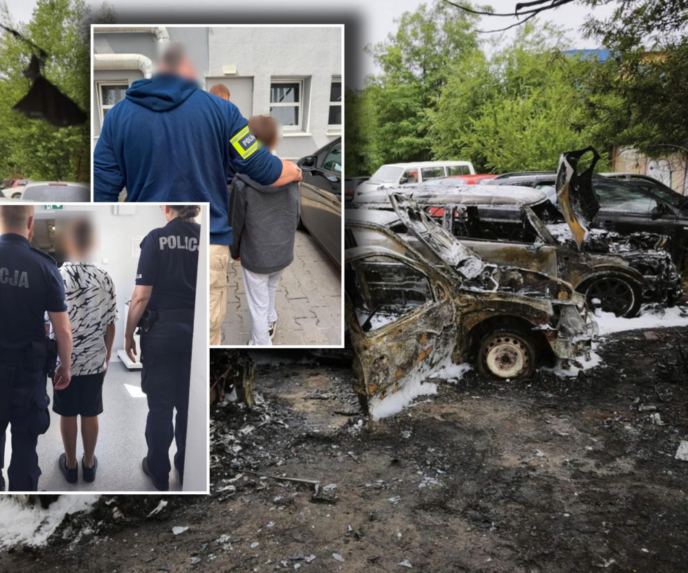 Wraki spalonych aut. Na miniaturach policjanci prowadzący dzieci. O pożarze w Poznaniu przeczytasz na SE.
