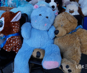 8. Niebieski Bieg Stowarzyszenia „Labirynt” w Łukowie - ZDJĘCIA cz. 1