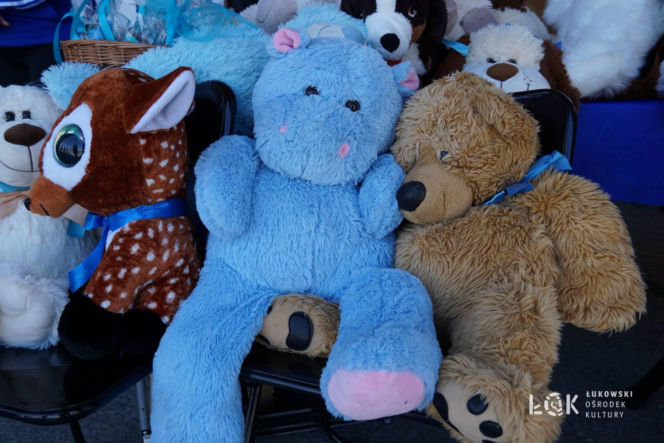 8. Niebieski Bieg Stowarzyszenia „Labirynt” w Łukowie - ZDJĘCIA cz. 1