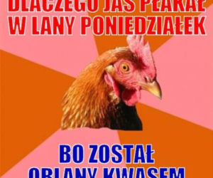 Śmigus-dyngus 2022. Zobacz najlepsze MEMY na LANY PONIEDZIAŁEK! [GALERIA]