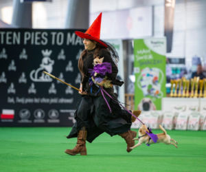 Duo Cacib Kielce - Międzynarodowa Wystawa Psów Rasowych w Targach Kielce