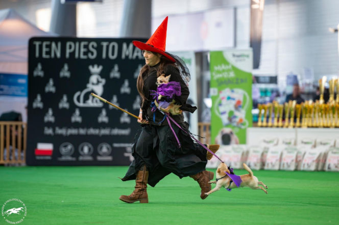 Duo Cacib Kielce - Międzynarodowa Wystawa Psów Rasowych w Targach Kielce