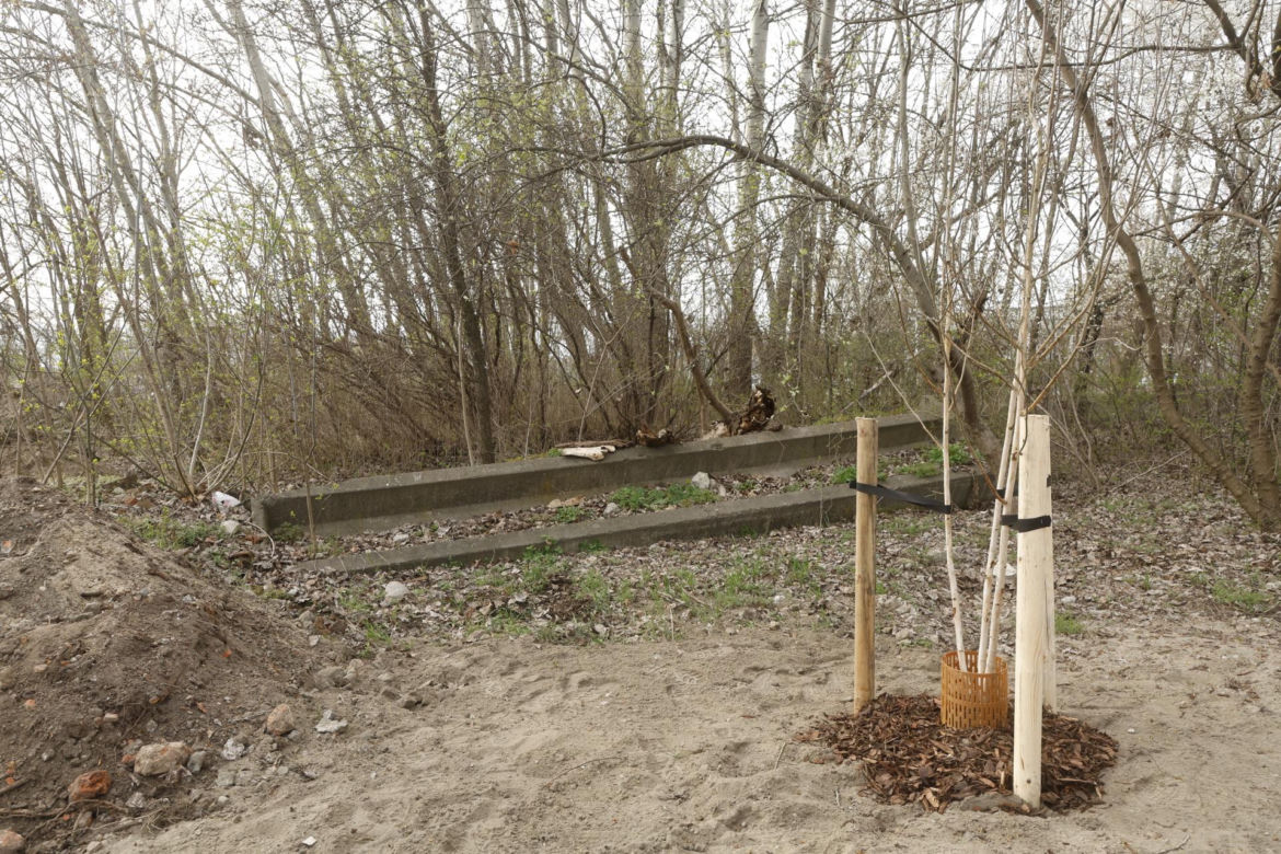W Warszawie powstaje drugie "lapidarium". Miasto nie usunie betonowych odpadów. "To artefakty"