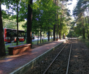 To jedno z najpiękniejszych miast na Śląsku. Kiedyś było osadą, w której wydobywano srebro