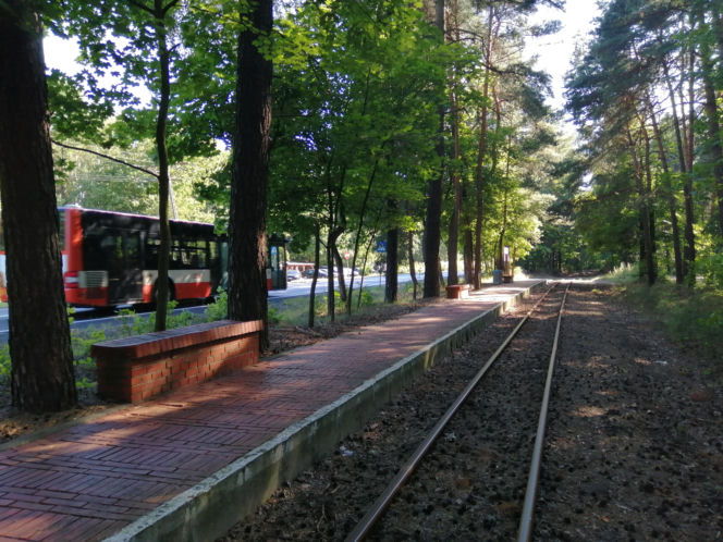 To jedno z najpiękniejszych miast na Śląsku. Kiedyś było osadą, w której wydobywano srebro
