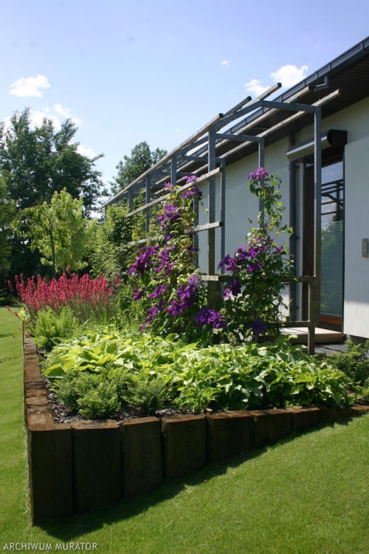 Pergola w ogrodzie