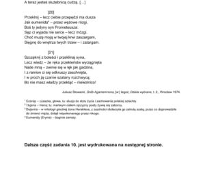 Matura 2023: arkusz przykładowy CKE język polski