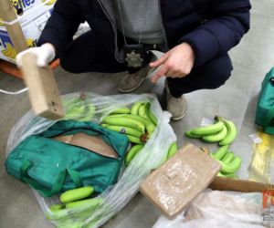 Kokaina ukryta w bananach