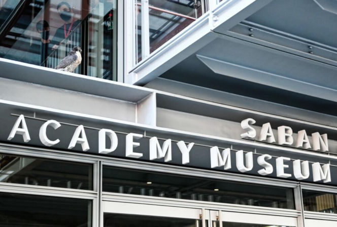 To faworyt do wygrania Oscara - Jedna bitwa po drugiej