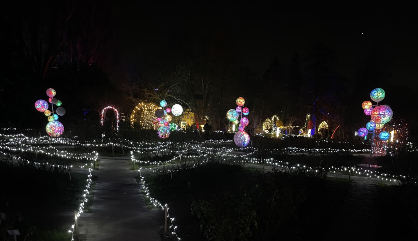 Spacer po wystawie Magiczny Botaniczny 2024/2025