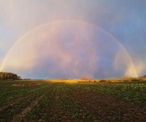 Niesamowita tęcza w gminie Spręcowo