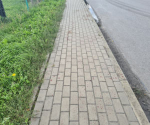 Leżajsk. Obciął dłoń maczetą [ZDJĘCIA]