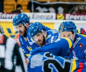 KH Energa Toruń - Podhale Nowy Targ 3:2 - zdjęcia z meczu