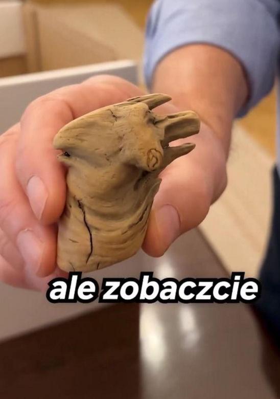 Tu rządzi dziadek Tusk
