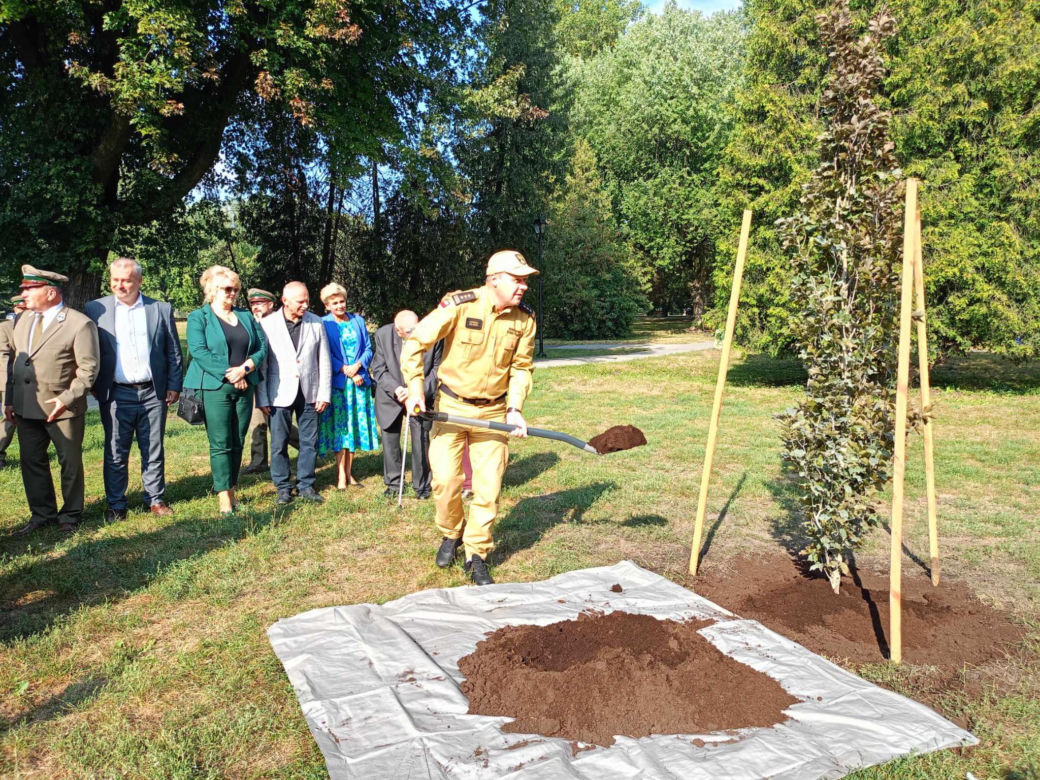 Trzy młode buki purpurowe na Skwerze Leśników Polskich wspólnie zasadzili pracownicy Nadleśnictwa Siedlce i Lasów Państwowych, władze miasta Siedlce i radni.