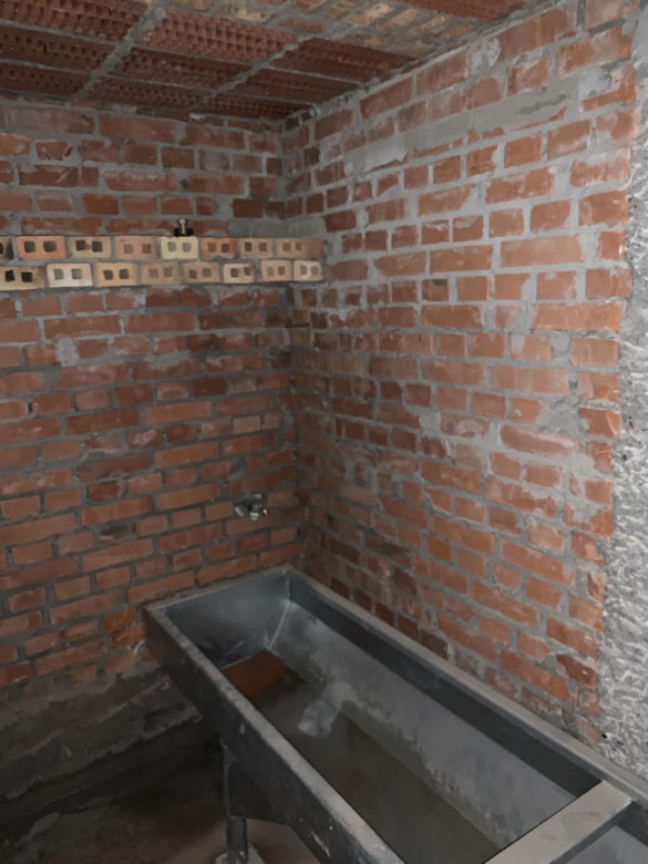 Nowe siedlisko dla nietoperzy