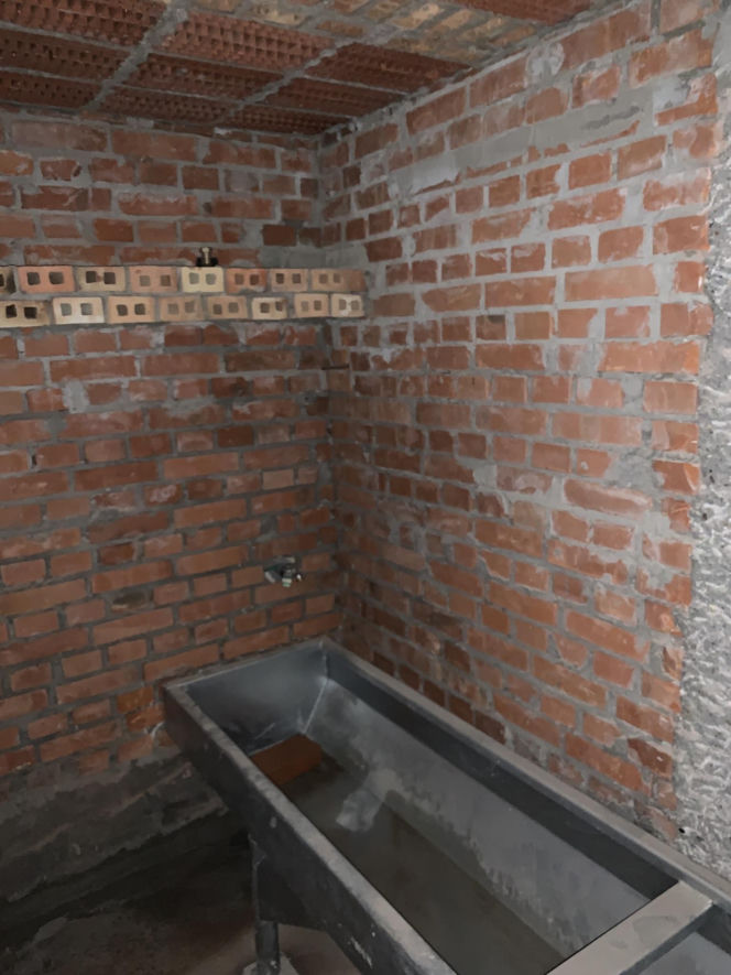 Nowe siedlisko dla nietoperzy