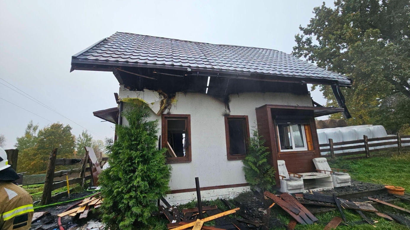 Cztery urocze szczeniaki uratowane z pogorzeliska. Nieprawdopodobne, gdzie ukryły się podczas pożaru