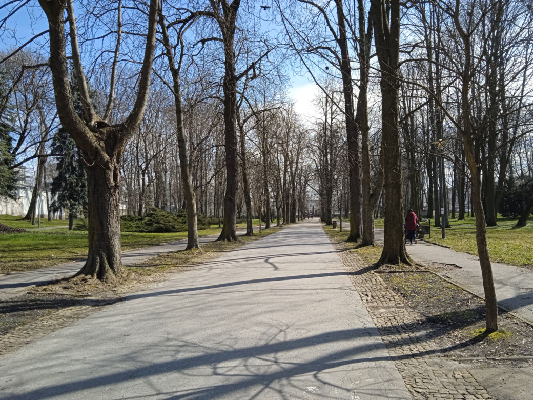 Wiosna w Kielcach. Coraz więcej zieleni i spacerowiczów w parku miejskim