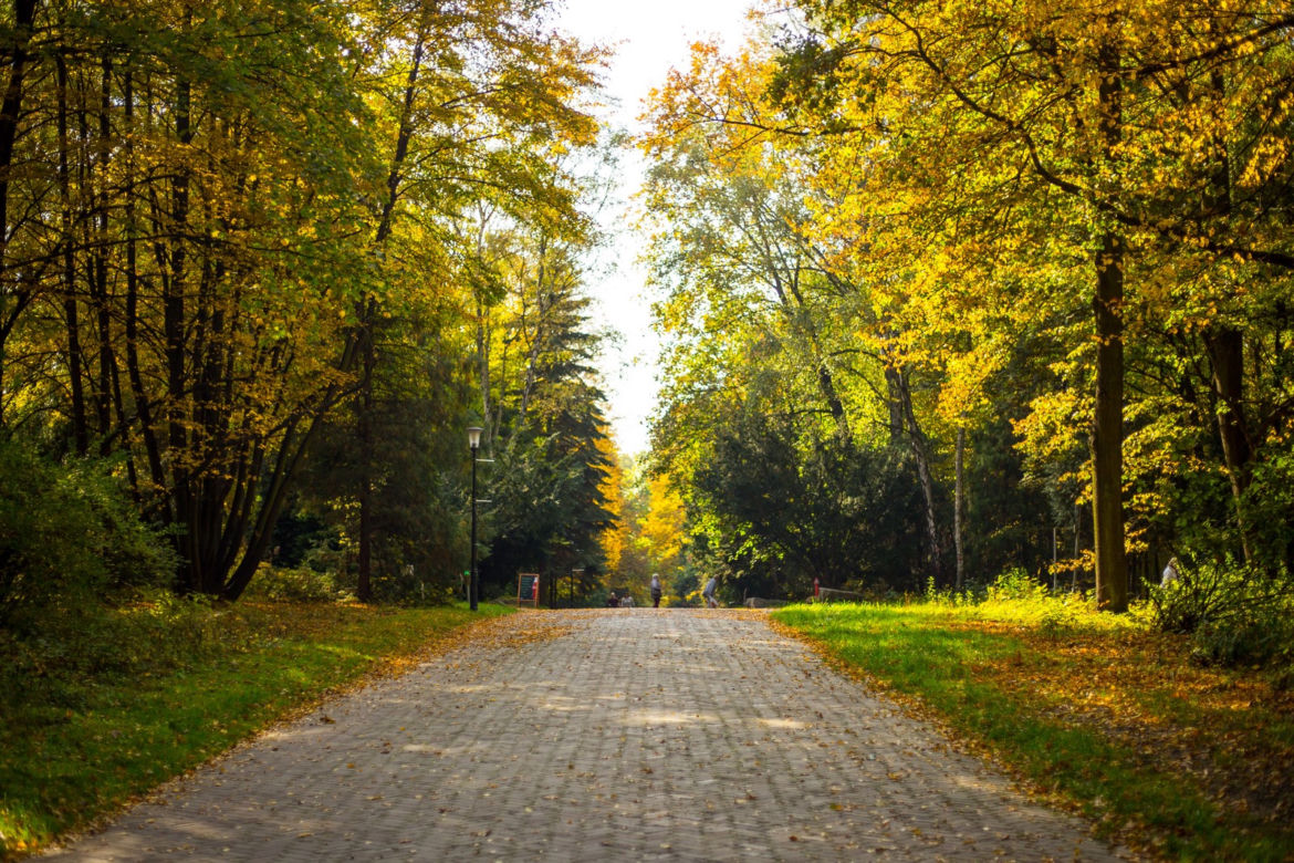 Park Śląski jesienią jest naprawdę piękny
