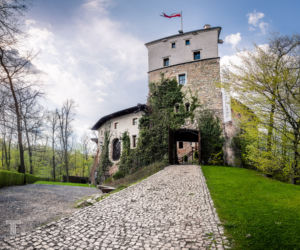 Zamek Korzkiew