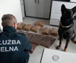 Psy pomogły wykryć nielegalny tytoń i dopalacze w przesyłkach kurierskich