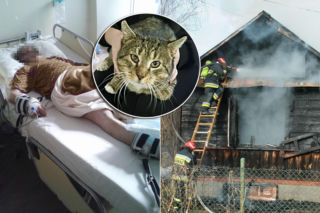 Zatruł się czadem, gdy ratował Mruczka. Pan Sylwester wyskoczył z kotem na ręku z płonącego domu