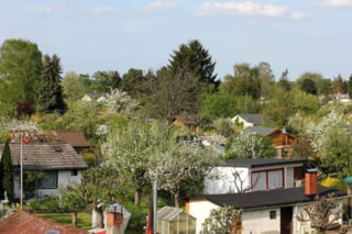 Absurdalne zapisy w regulaminie działki ROD