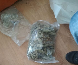 Policja z Bydgoszczy przejęła OGROMNĄ ilość TEGO towaru!