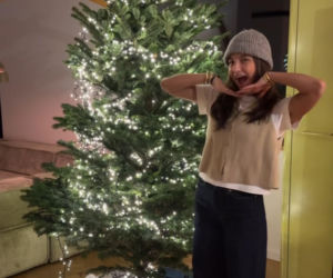 Gwiazdy wystroiły wille na święta! Przetakiewicz, Kurzopki i Rozenek wydali grube tysiące!