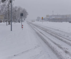  Zamordował Sylwię i powiesił sie w lesie
