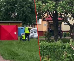 Strzały na ulicy w Białej Podlaskiej. Nie żyje mężcznyzna. Policja prowadzi obławę za mordercą