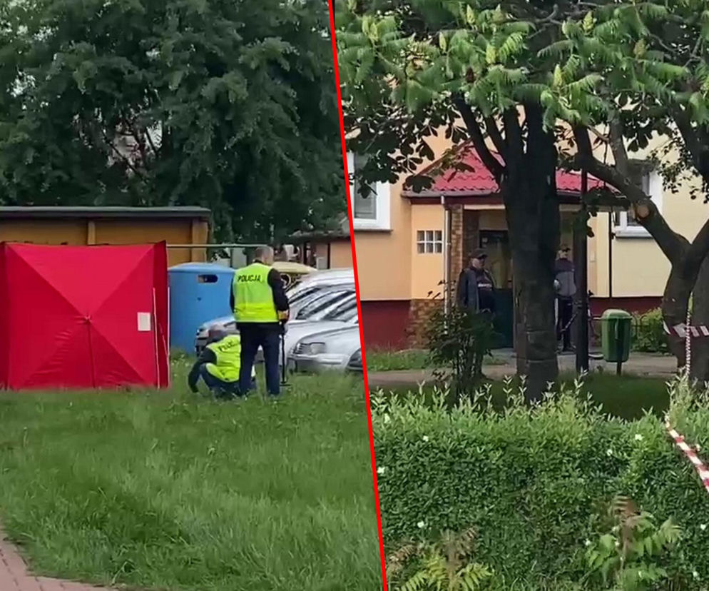 Strzały na ulicy w Białej Podlaskiej. Nie żyje mężcznyzna. Policja prowadzi obławę za mordercą